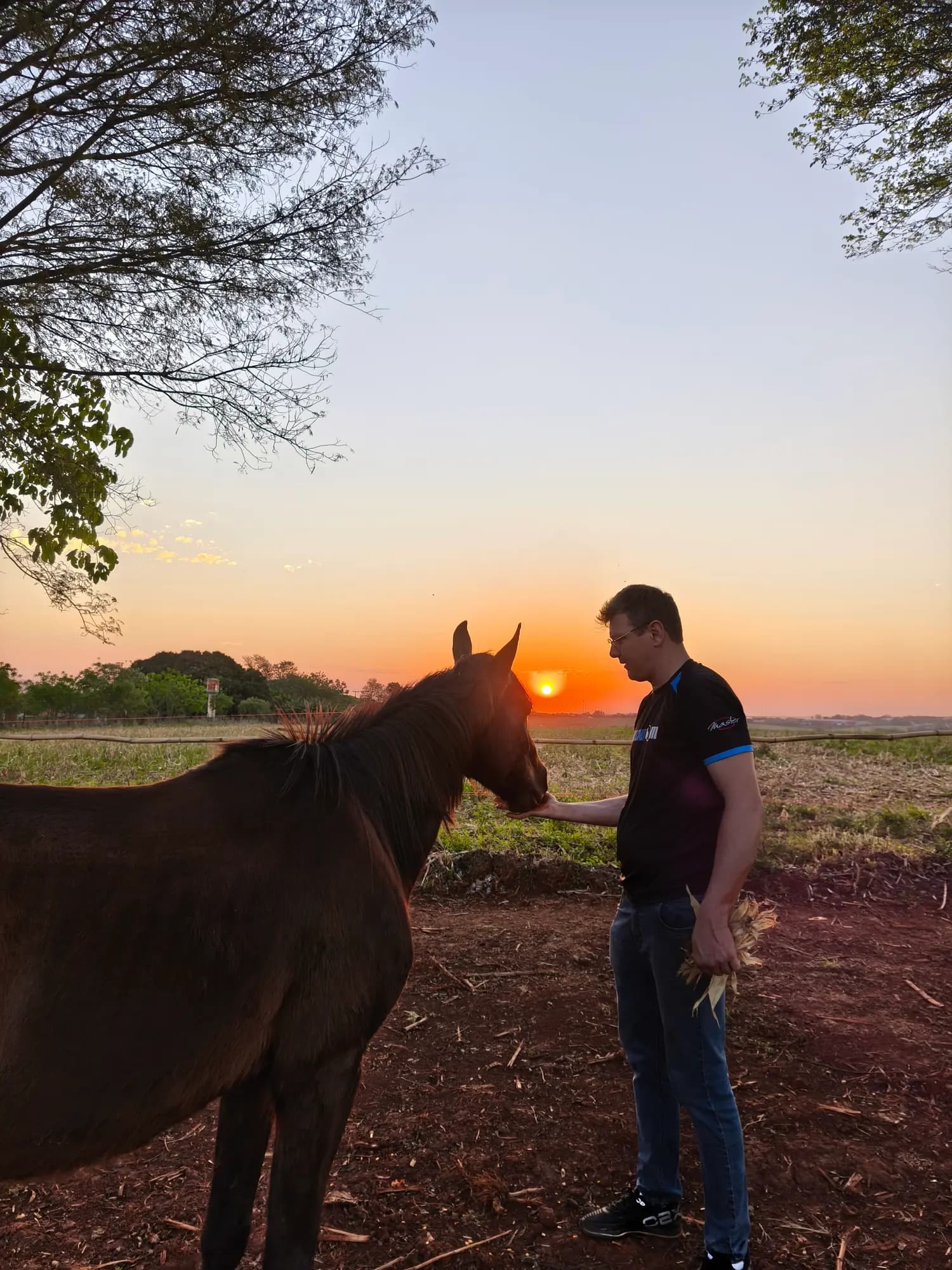 Encontro entre pessoa e cavalo ao pôr do sol